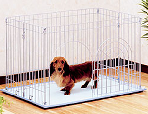 トイレトレーニングの準備